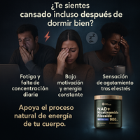 NAD Resveratrol - Cápsulas