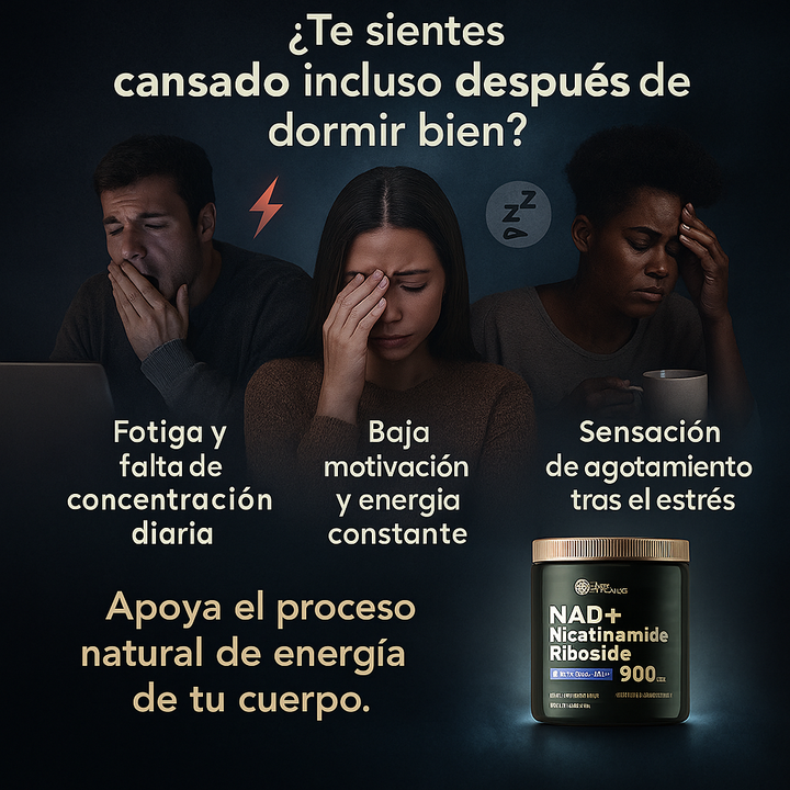 NAD Resveratrol - Cápsulas