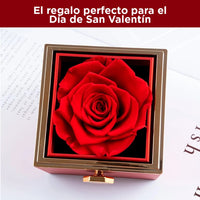 Rosa Eterna con Carta y Collar de Oro14k