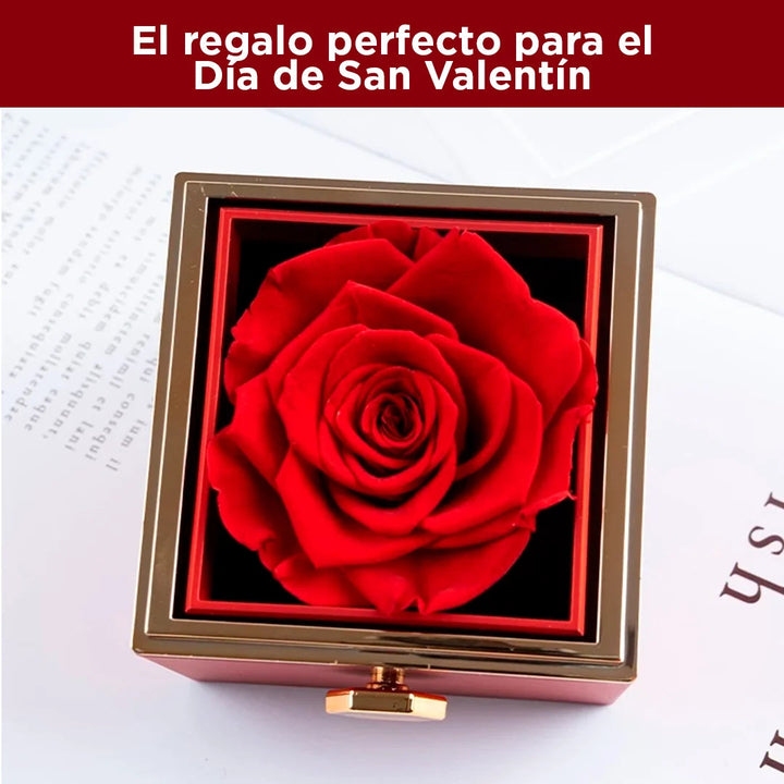 Rosa Eterna con Carta y Collar de Oro14k
