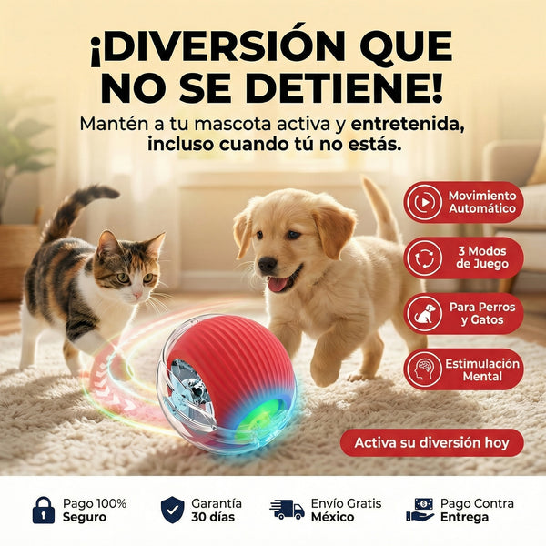 Pelota para mascota - perros y gatos